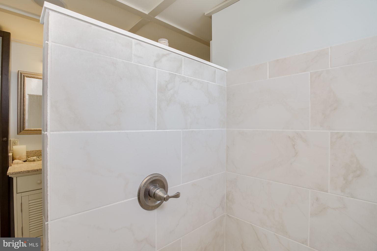8626 Oak Road Baltimore, MD 21234 - Photo 19 of 30 a close up of a shower