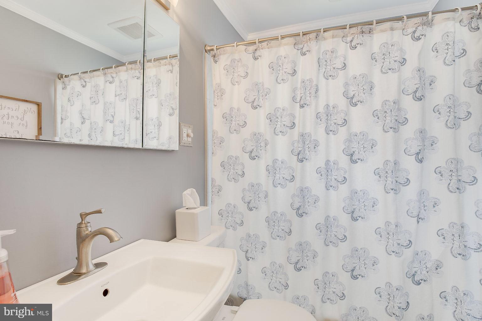 8626 Oak Road Baltimore, MD 21234 - Photo 23 of 30 a bathroom with a sink and a mirror
