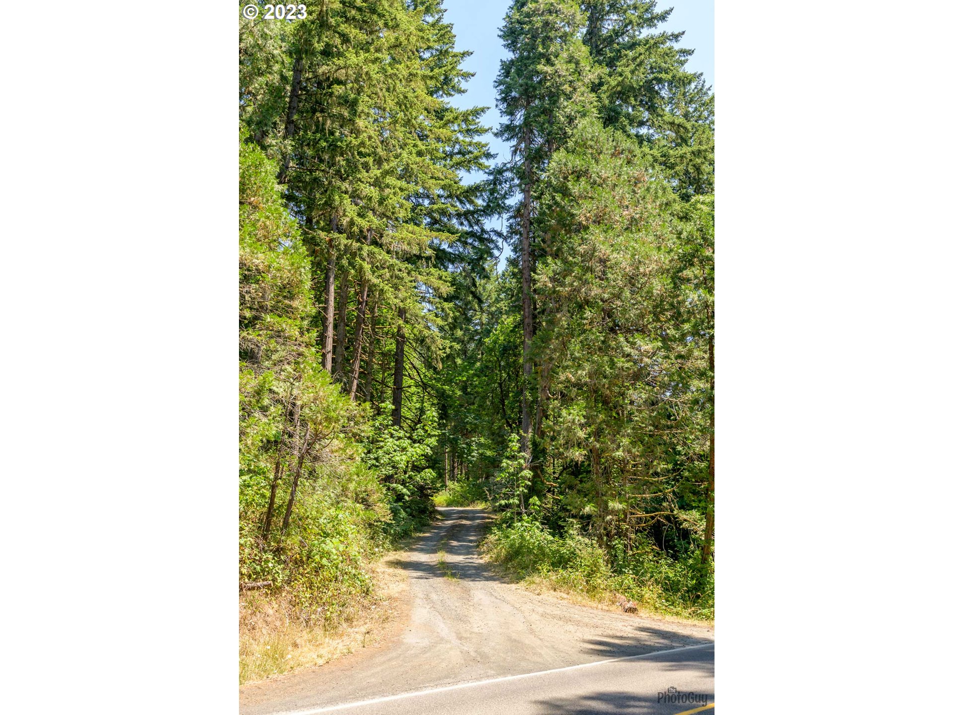 36381 Row River Road Cottage Grove, OR 97424 - Photo 26 of 37 Gallery Image 26