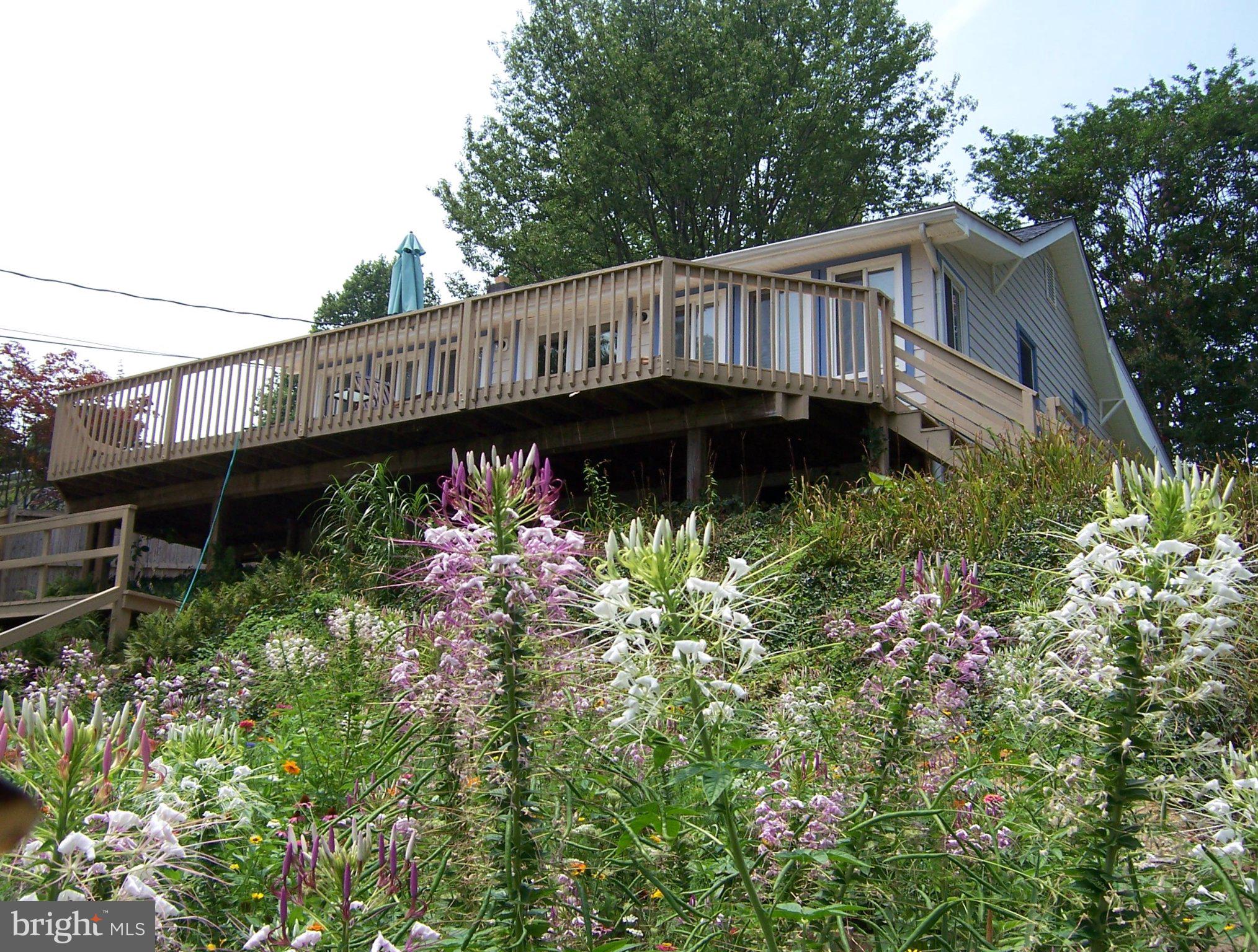 4884 Ridge Road Chesapeake Beach, MD 20732 - Photo 4 of 55 Back flower garden and view of deck