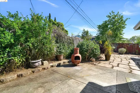 a view of a backyard with plants