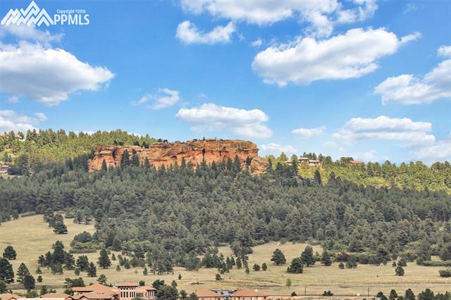 18365 Forest View Road Monument, CO 80132 - Photo 11 of 12