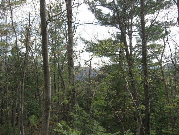 1630 Stage Road Richmond, VT 05477 - Photo 4 of 21