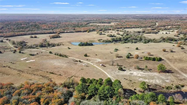 a view of a lake in middle of forest