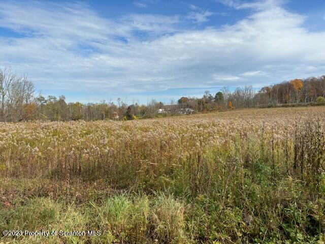 Stone And Reynolds Road Dalton, PA 18414 - Photo 2 of 10 a view of lake and mountain