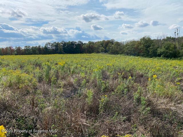 Stone And Reynolds Road Dalton, PA 18414 - Photo 5 of 10 a view of a lake with houses in the back