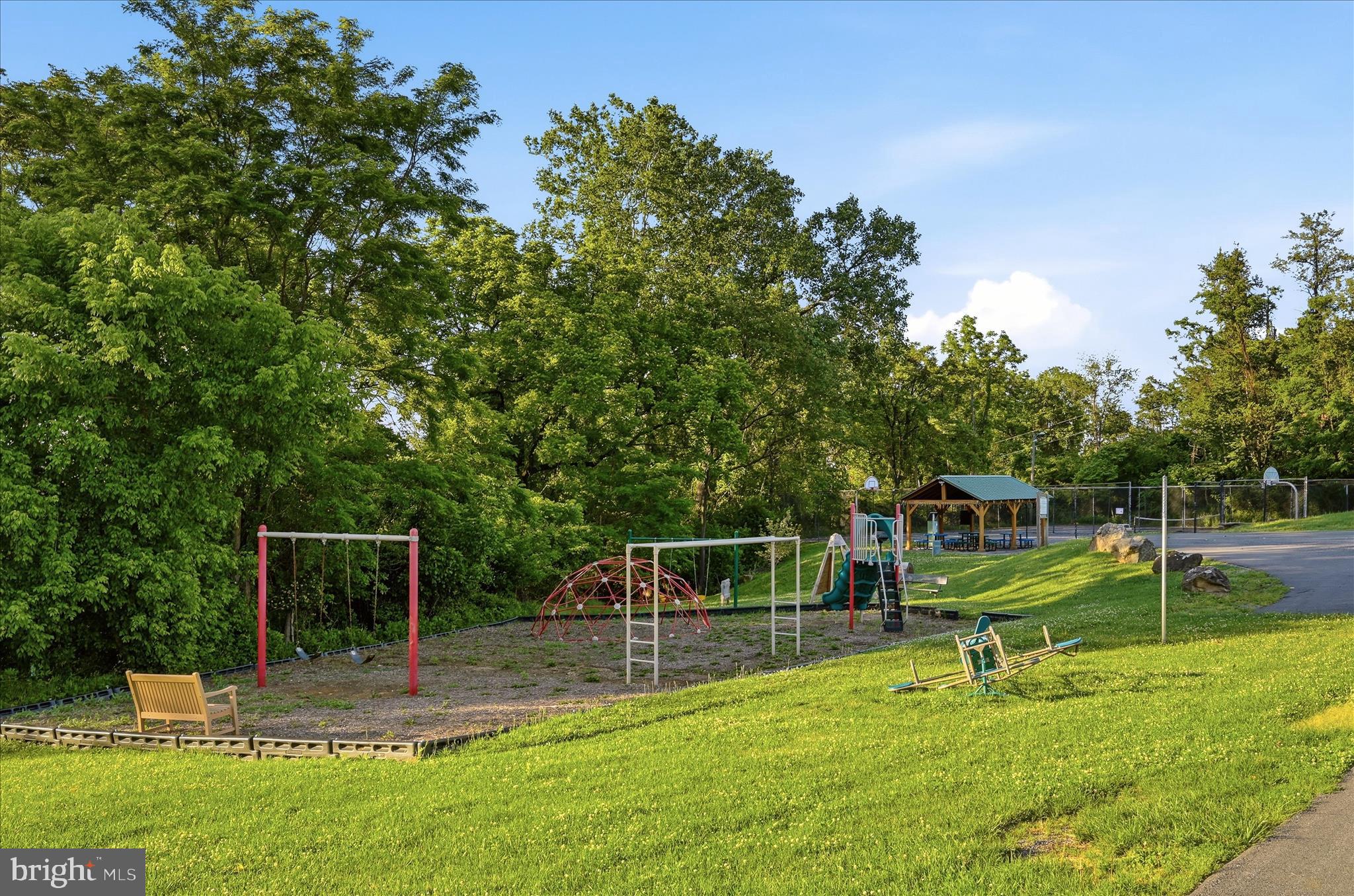 500 Delicious Road Linden, VA 22642 - Photo 46 of 80 Backyard