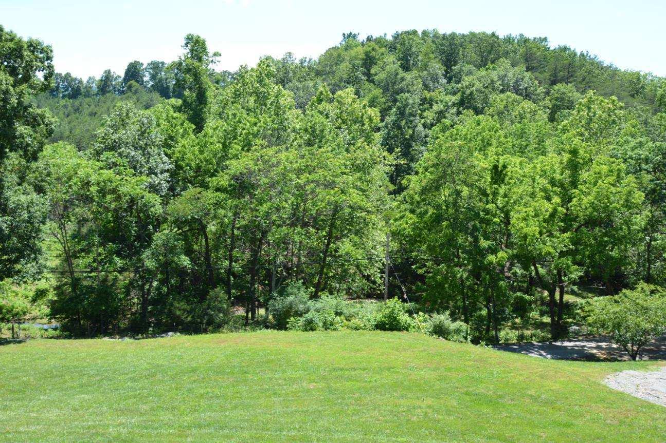 1469 Crouch Road Montvale, VA 24122 - Photo 3 of 23 a view of a grassy field with trees