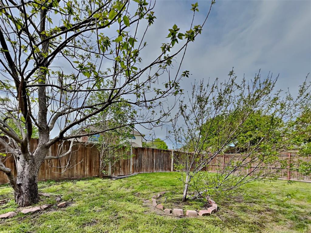 10805 Winged Foot Drive Rowlett, TX 75089 - Photo 26 of 26 a backyard of a house with lots of green space