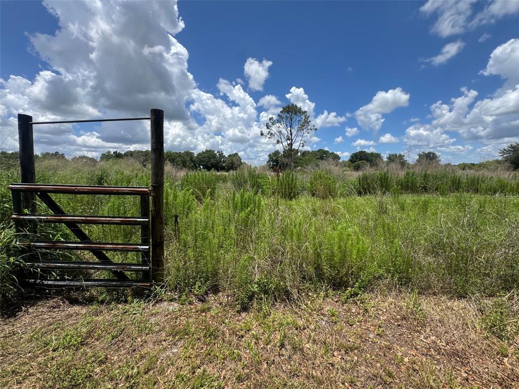 9827 Southeast Hoth Road Arcadia, FL 34266 - Photo 28 of 28 a view of a garden