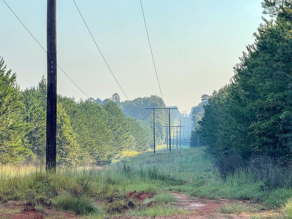 3 Big Hill Fire Tower Road Robeline, LA 71469 - Photo 3 of 13 a view of outdoor space and yard