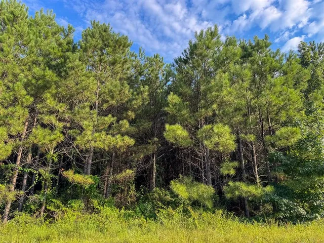 a view of an outdoor space and yard