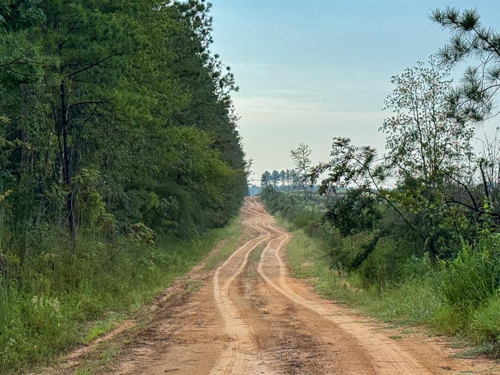 3 Big Hill Fire Tower Road Robeline, LA 71469 - Photo 10 of 13 a view of a road with a yard