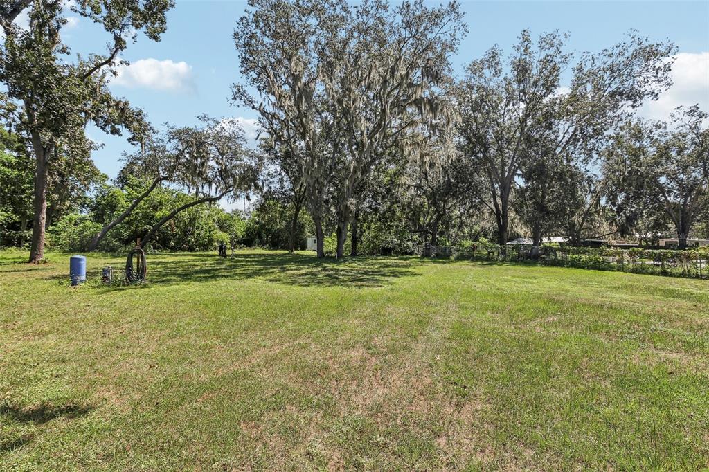 7004 Dusty Road Riverview, FL 33569 - Photo 40 of 48