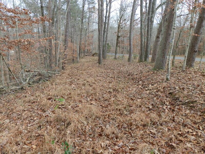 1607 Clifty Crk Road Jamestown, KY 42629 - Photo 9 of 18 PC042179