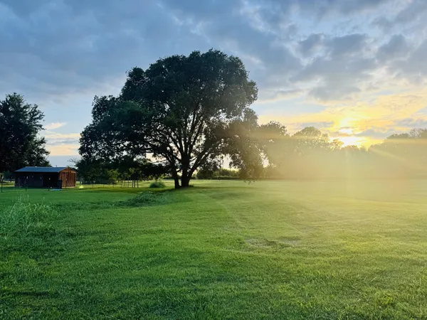 a view of an ocean and a yard