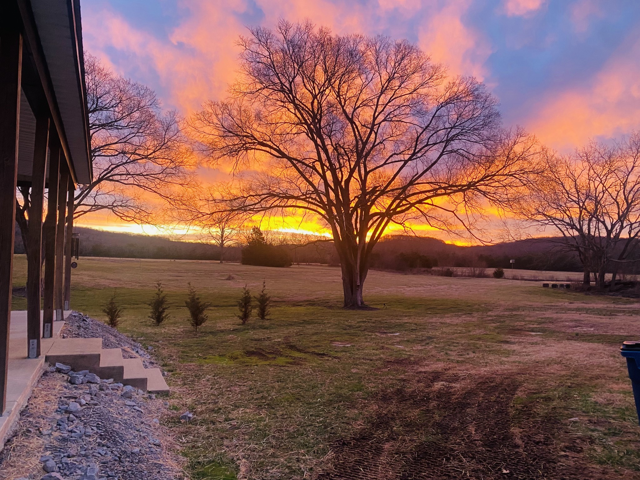 10640 Jordan Road Lascassas, TN 37085 - Photo 42 of 45 a view of dirt yard with a tree