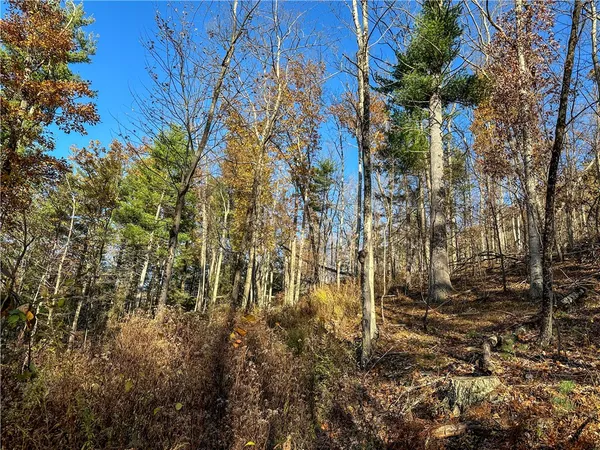 $120,000 | Vl Lot 3 Vl Road, Cameron, NY 14819