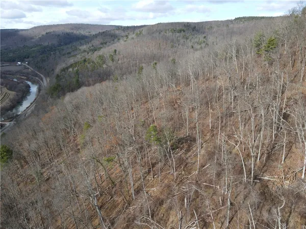 $120,000 | Vl Lot 3 Vl Road, Cameron, NY 14819