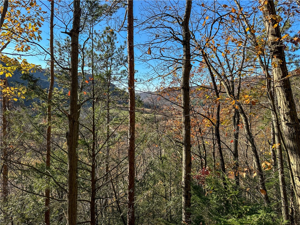 Vl Lot 3 Vl Road Cameron, NY 14819 - Photo 13 of 35