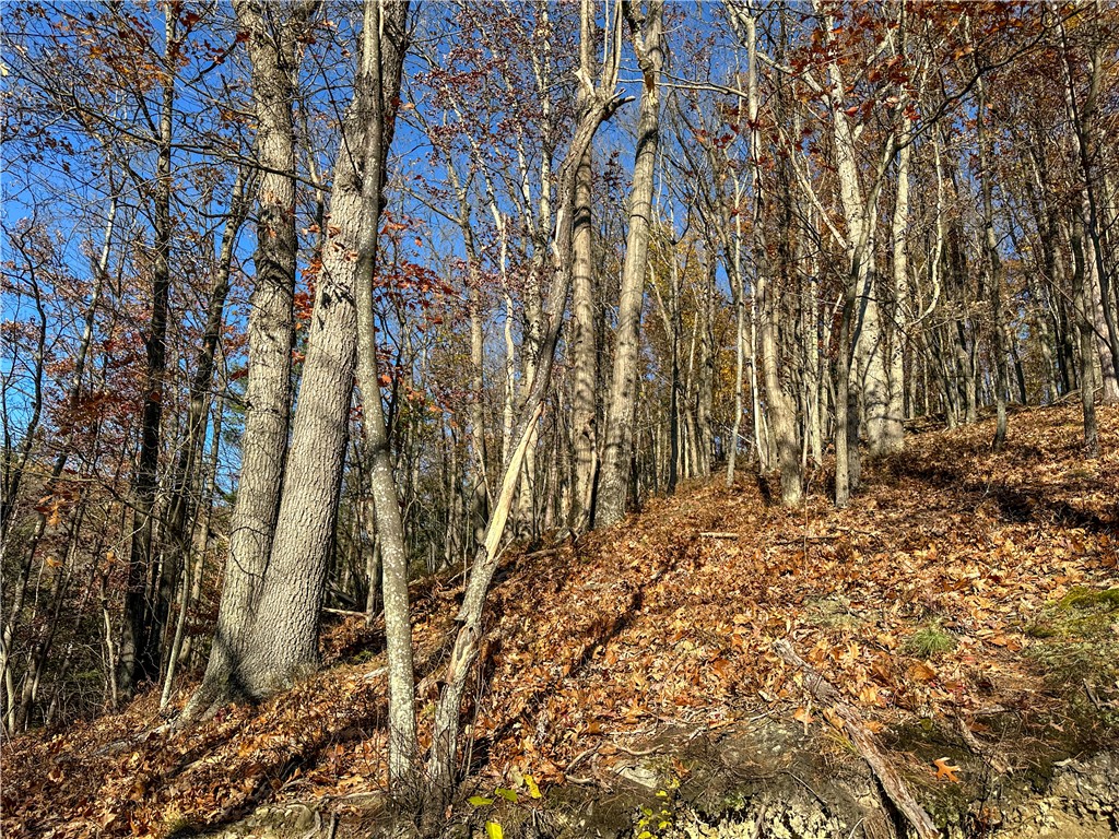 Vl Lot 3 Vl Road Cameron, NY 14819 - Photo 15 of 35