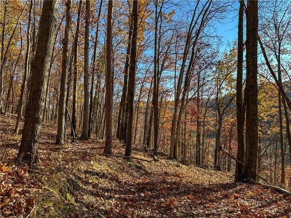 $120,000 | Vl Lot 3 Vl Road, Cameron, NY 14819
