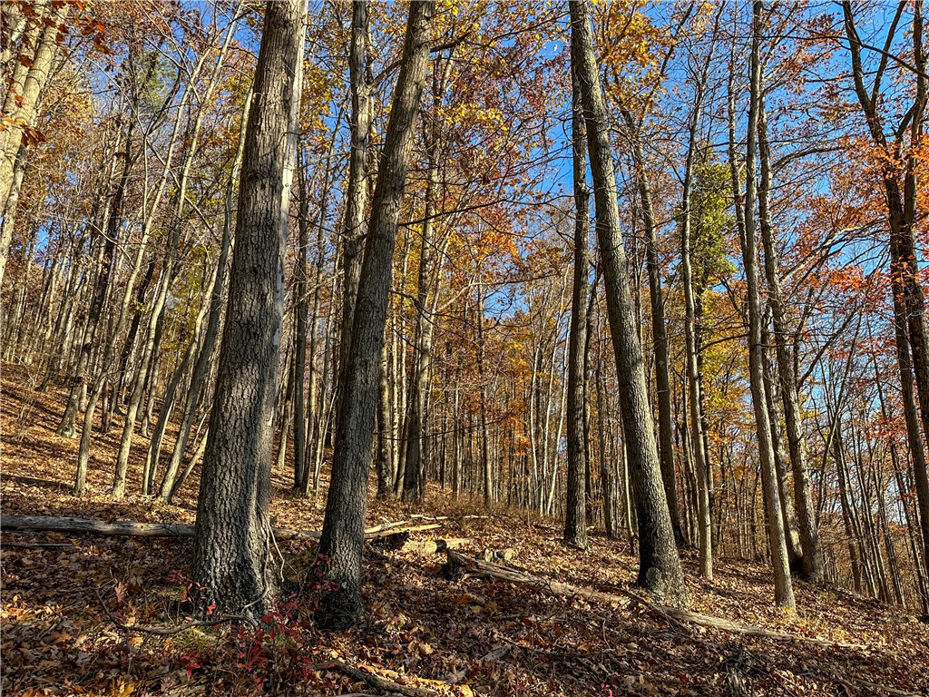Vl Lot 3 Vl Road Cameron, NY 14819 - Photo 16 of 35