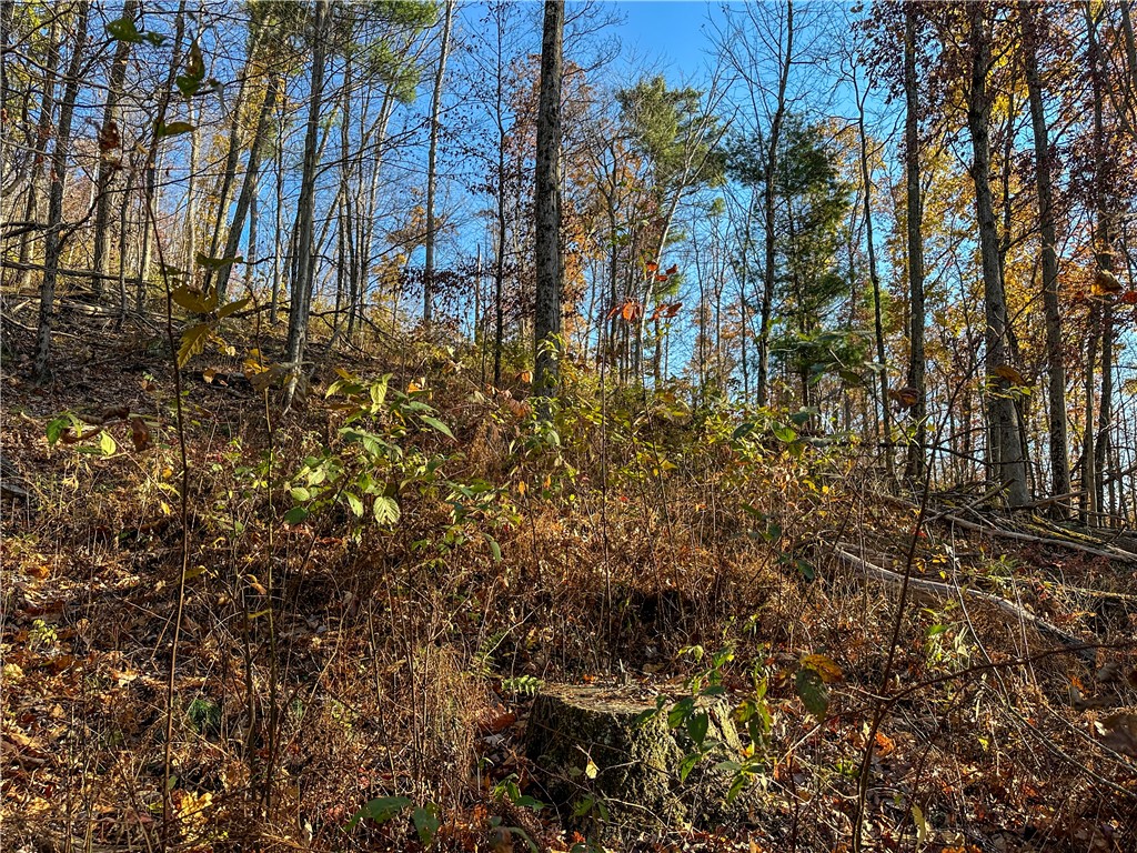 Vl Lot 3 Vl Road Cameron, NY 14819 - Photo 17 of 35