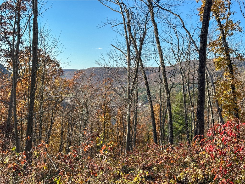 Vl Lot 3 Vl Road Cameron, NY 14819 - Photo 18 of 35