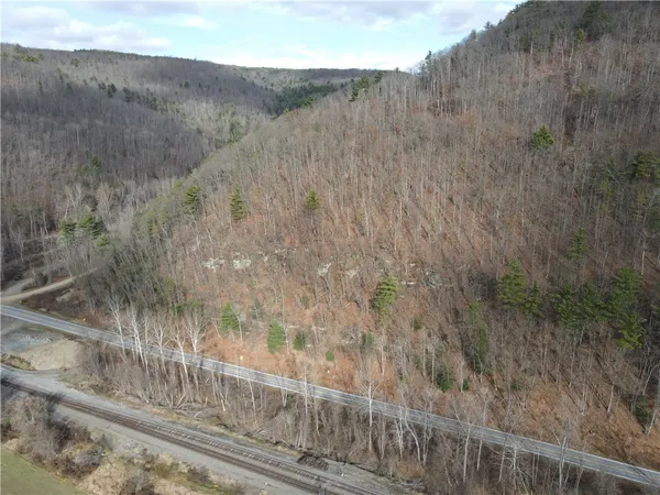 $120,000 | Vl Lot 3 Vl Road, Cameron, NY 14819