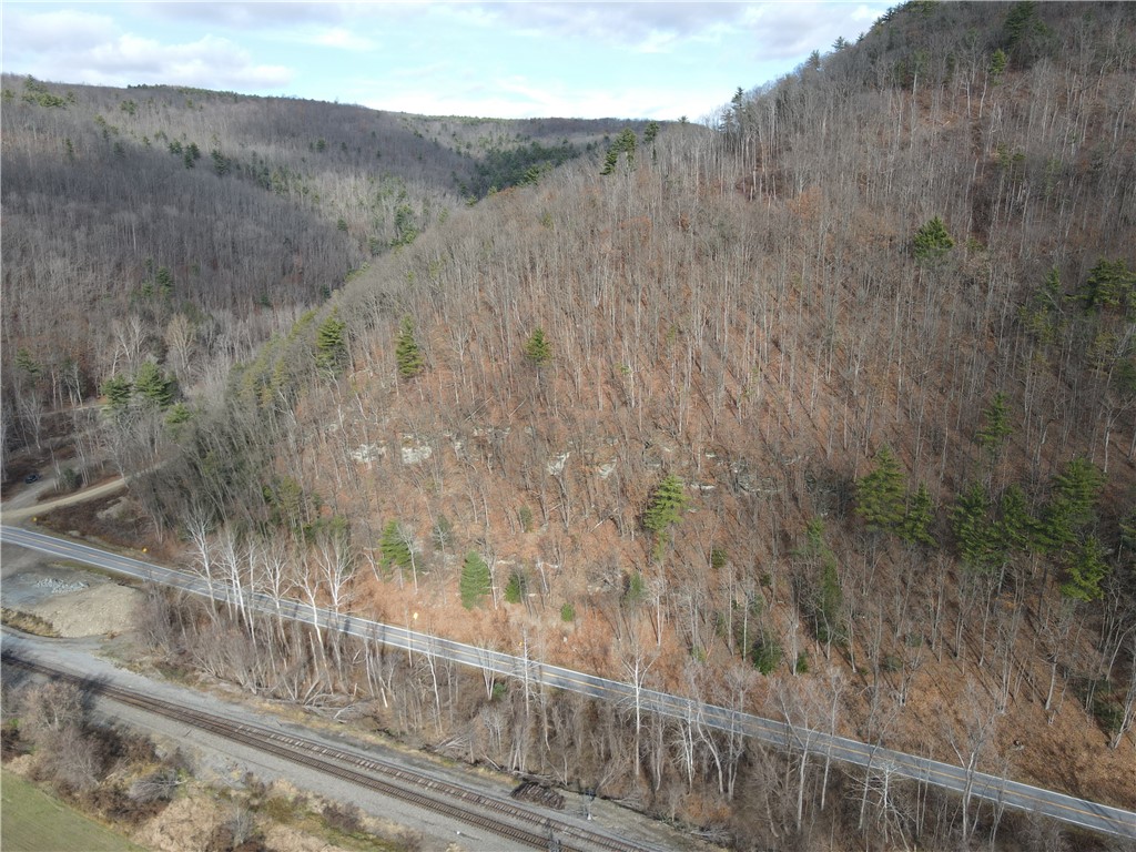 Vl Lot 3 Vl Road Cameron, NY 14819 - Photo 2 of 35
