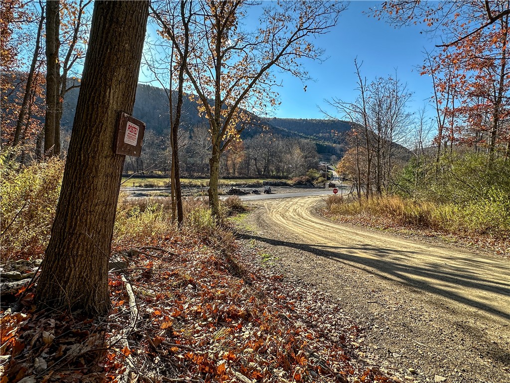 Vl Lot 3 Vl Road Cameron, NY 14819 - Photo 2 of 35