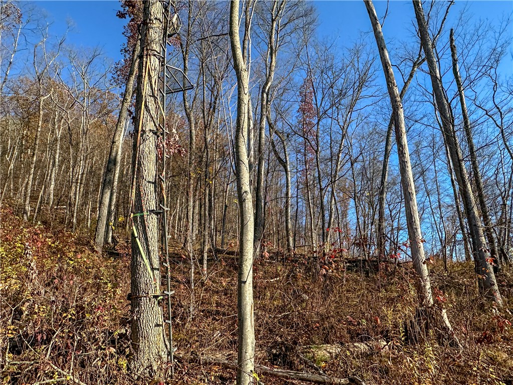 Vl Lot 3 Vl Road Cameron, NY 14819 - Photo 21 of 35