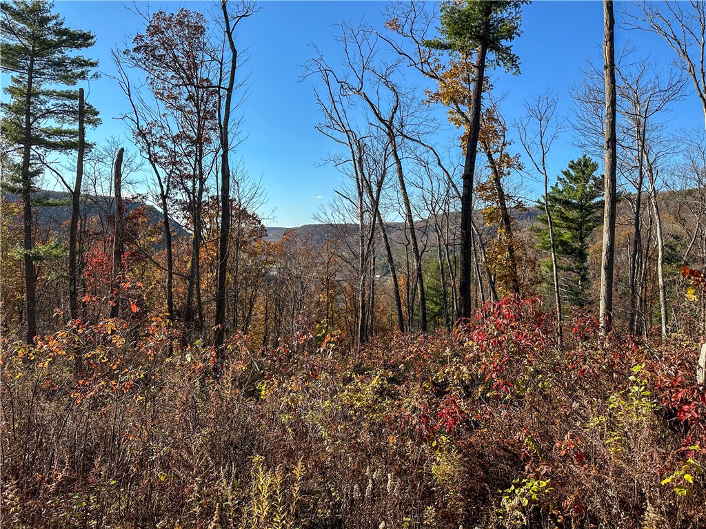 Vl Lot 3 Vl Road Cameron, NY 14819 - Photo 22 of 35