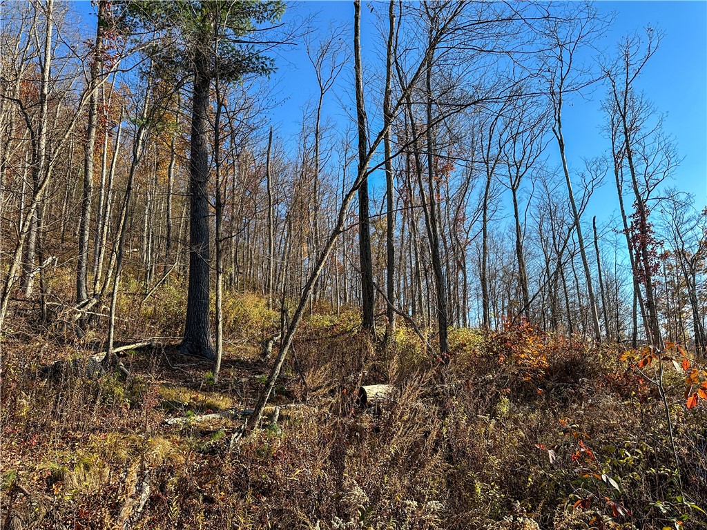 Vl Lot 3 Vl Road Cameron, NY 14819 - Photo 22 of 35