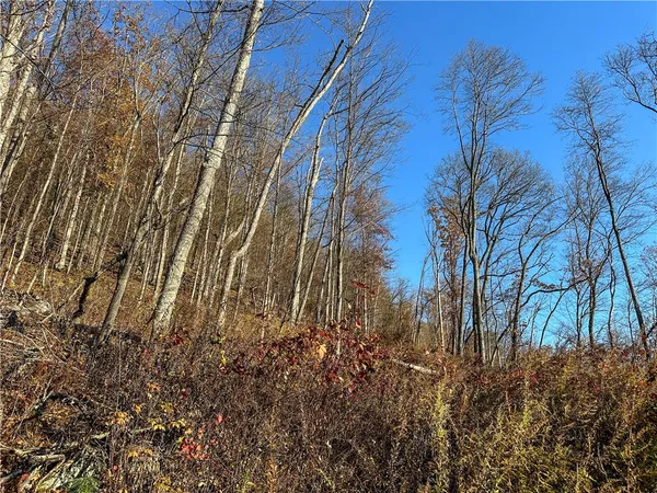 $120,000 | Vl Lot 3 Vl Road, Cameron, NY 14819