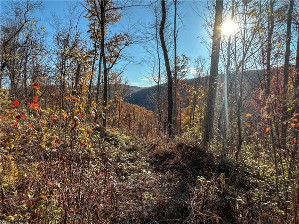 $120,000 | Vl Lot 3 Vl Road, Cameron, NY 14819