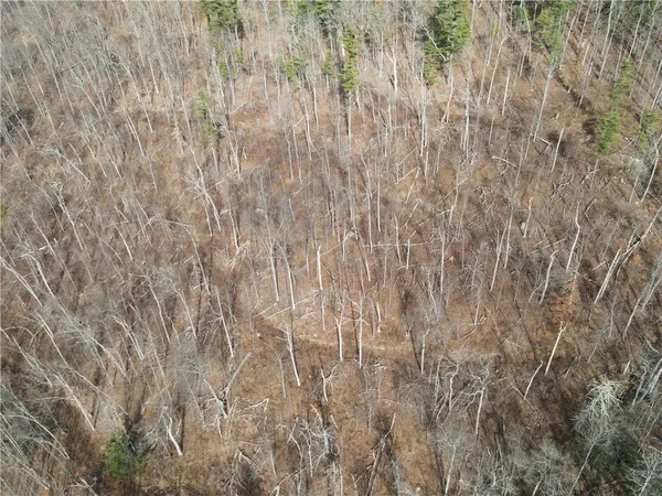 $120,000 | Vl Lot 3 Vl Road, Cameron, NY 14819