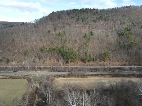 $120,000 | Vl Lot 3 Vl Road, Cameron, NY 14819