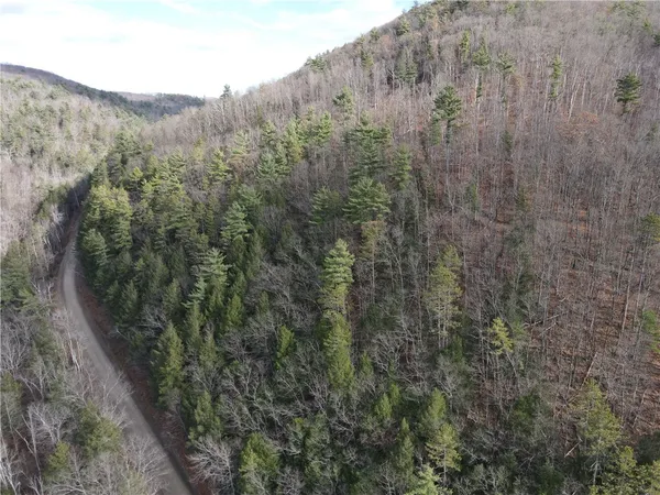 $120,000 | Vl Lot 3 Vl Road, Cameron, NY 14819