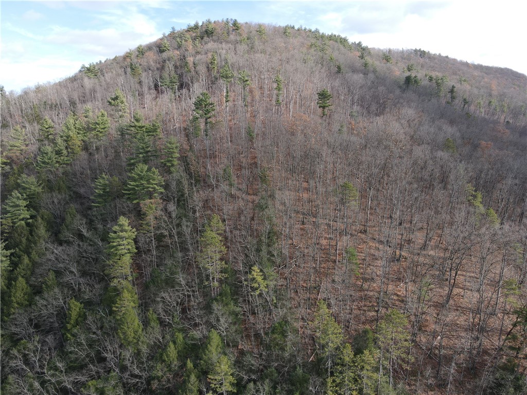 Vl Lot 3 Vl Road Cameron, NY 14819 - Photo 30 of 35