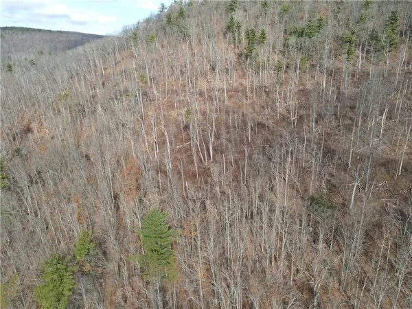 $120,000 | Vl Lot 3 Vl Road, Cameron, NY 14819