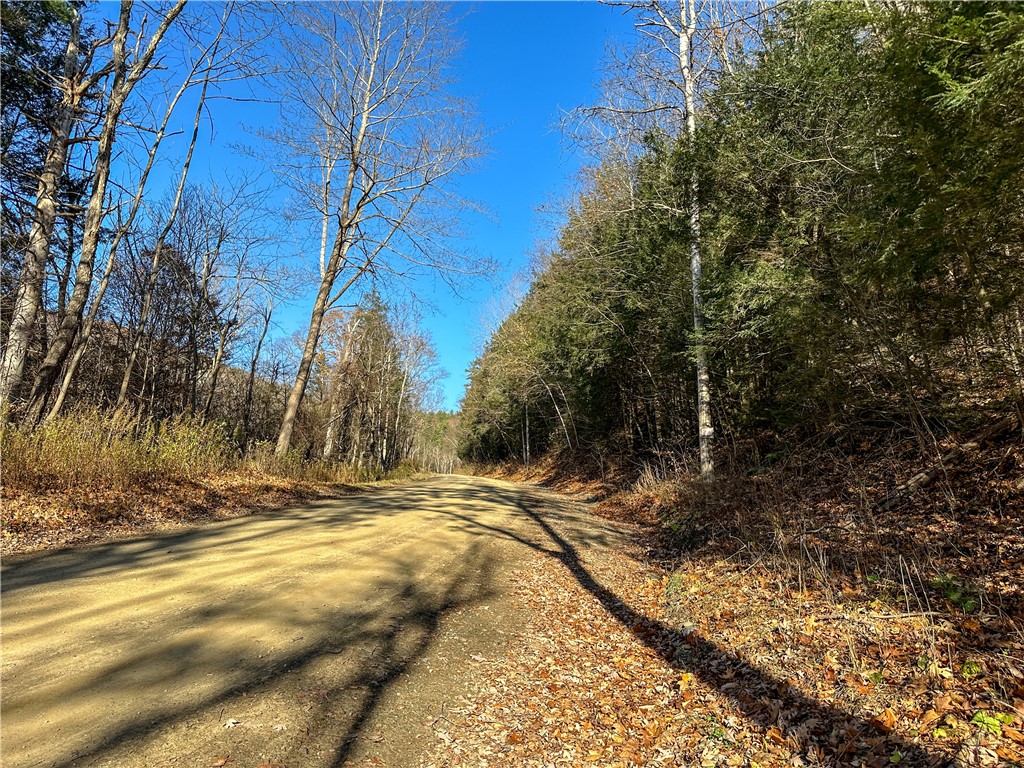 Vl Lot 3 Vl Road Cameron, NY 14819 - Photo 4 of 35