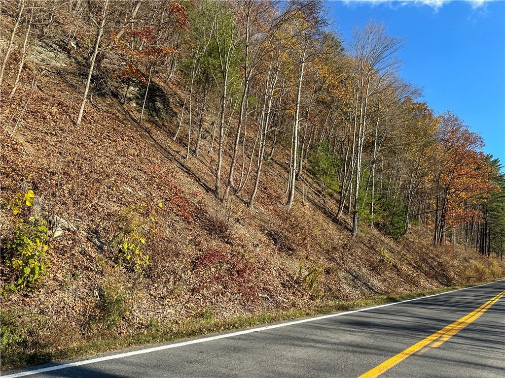 Vl Lot 3 Vl Road Cameron, NY 14819 - Photo 6 of 35