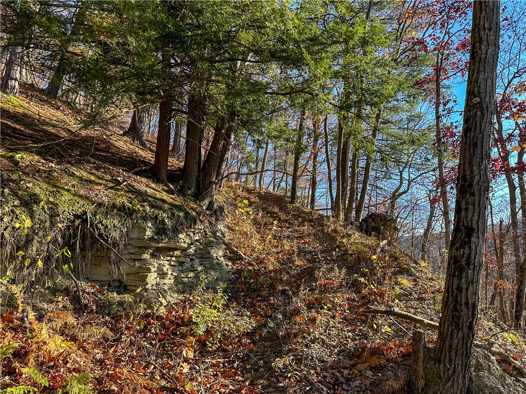 Vl Lot 3 Vl Road Cameron, NY 14819 - Photo 6 of 35