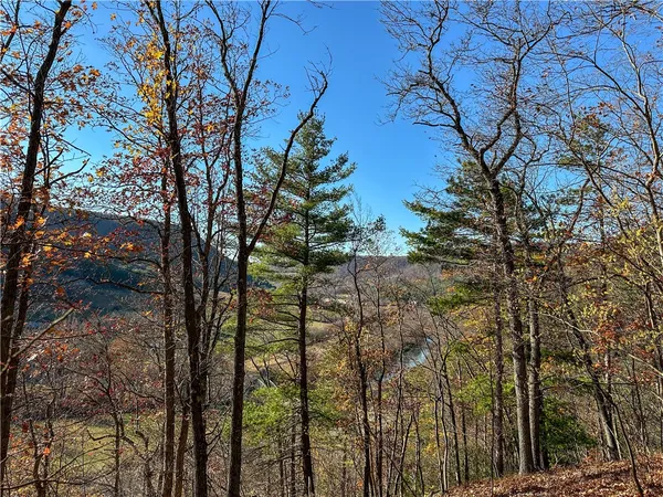 $120,000 | Vl Lot 3 Vl Road, Cameron, NY 14819