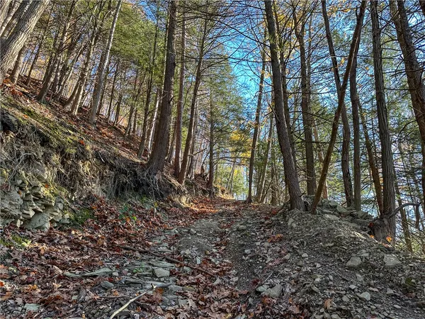 $120,000 | Vl Lot 3 Vl Road, Cameron, NY 14819