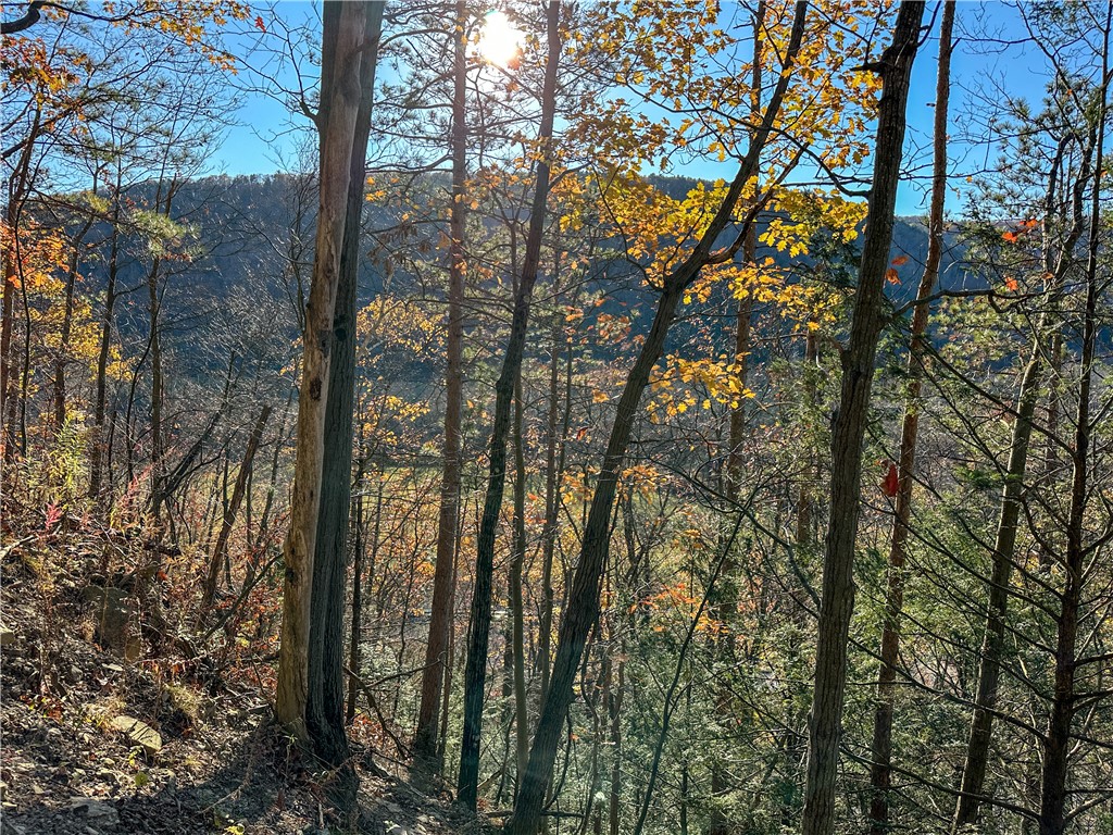 Vl Lot 3 Vl Road Cameron, NY 14819 - Photo 9 of 35