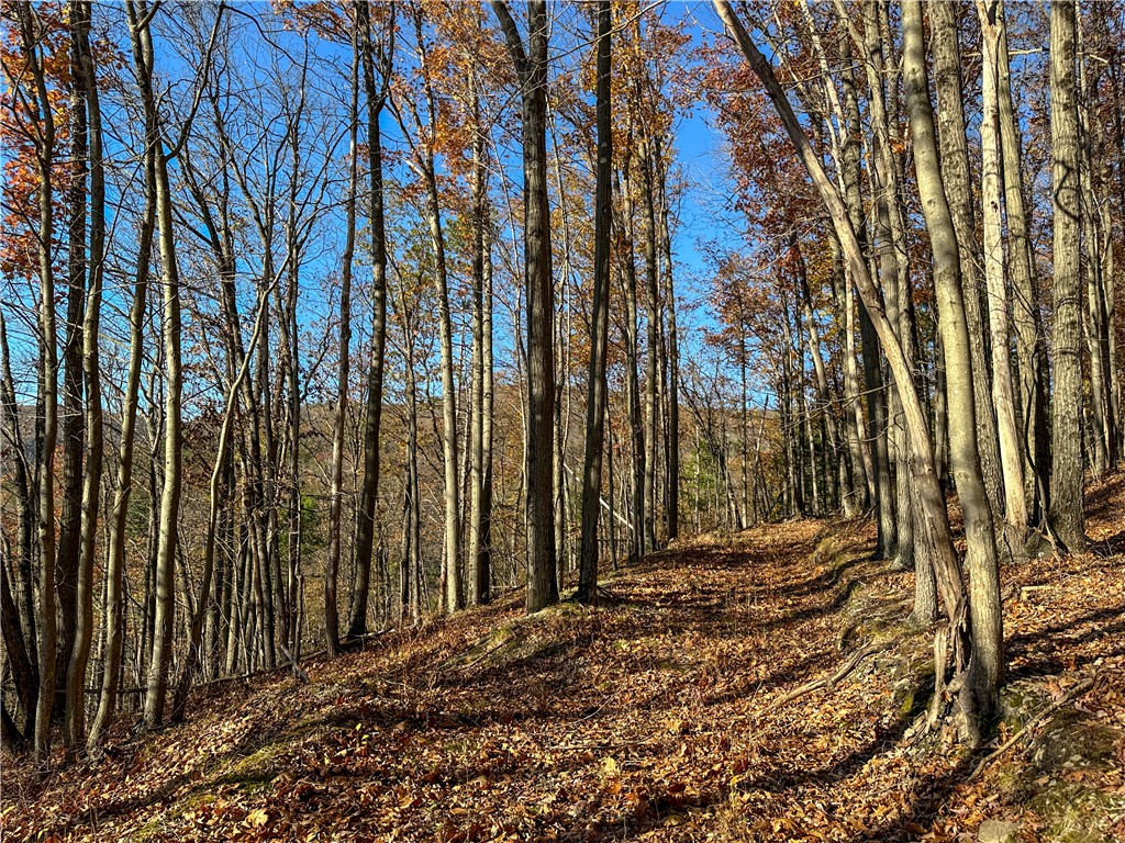 Vl Lot 3 Vl Road Cameron, NY 14819 - Photo 10 of 35