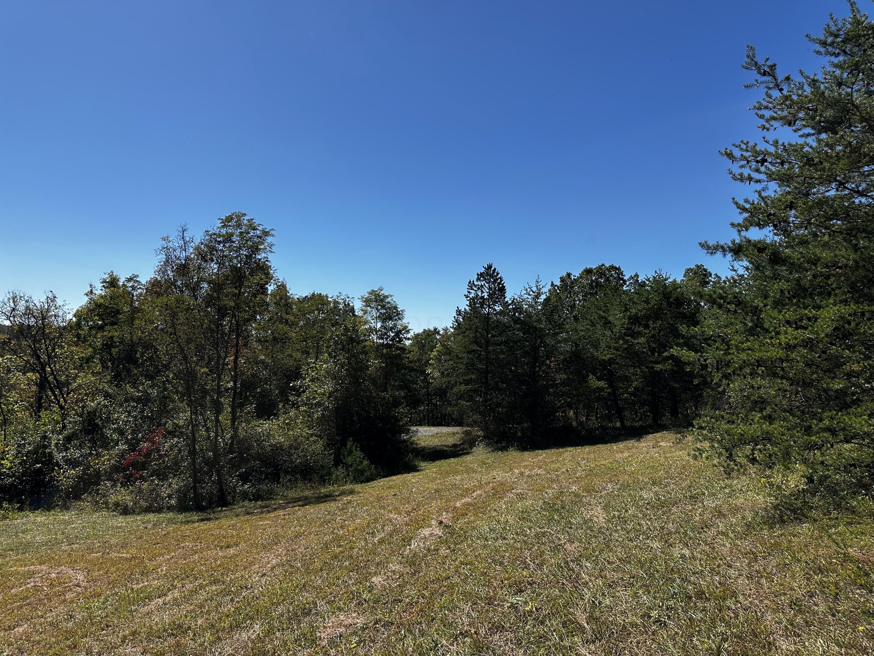 865 Hull Road, Unit TRACT 13 WOODS WAYNE FOREST) Patriot, OH 45658 - Photo 6 of 57 6